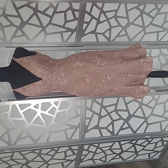 Dress the Population Dress - Picture 2 of 8